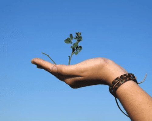 Time to Grow