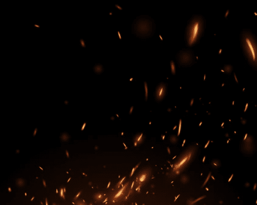Fire Flies