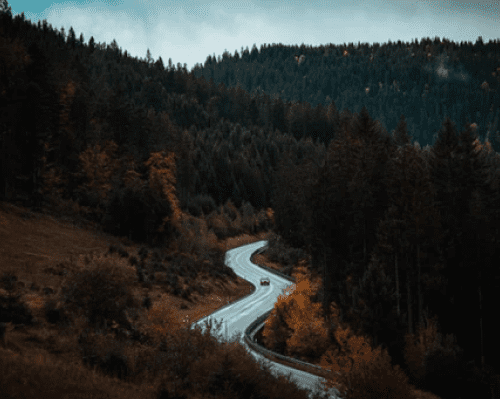 Embrace the Journey