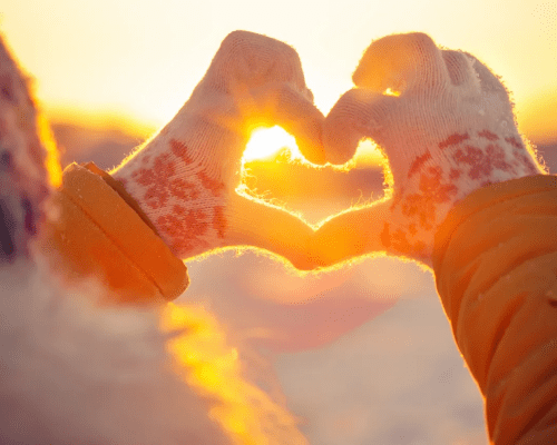 The Life We Love