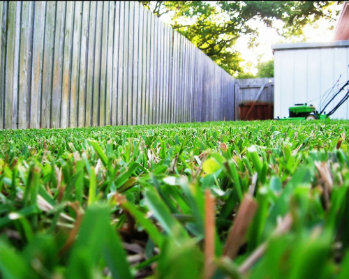 Manicured Life