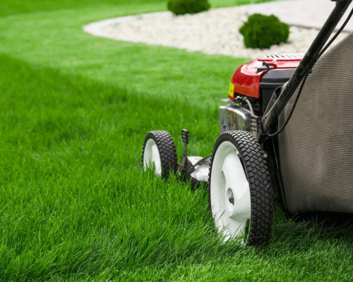 Mowing Time