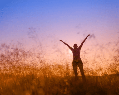 Gratitude Cultivated