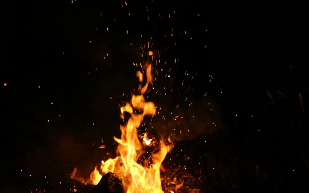 Gratitude In The Ashes