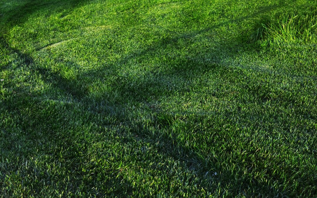 A New Perspective on Old Ground